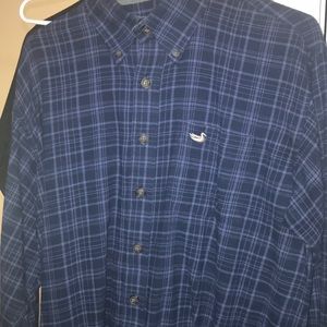Southern marsh button down